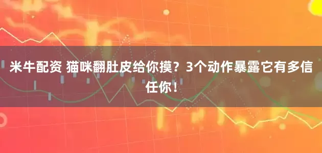 米牛配资 猫咪翻肚皮给你摸？3个动作暴露它有多信任你！
