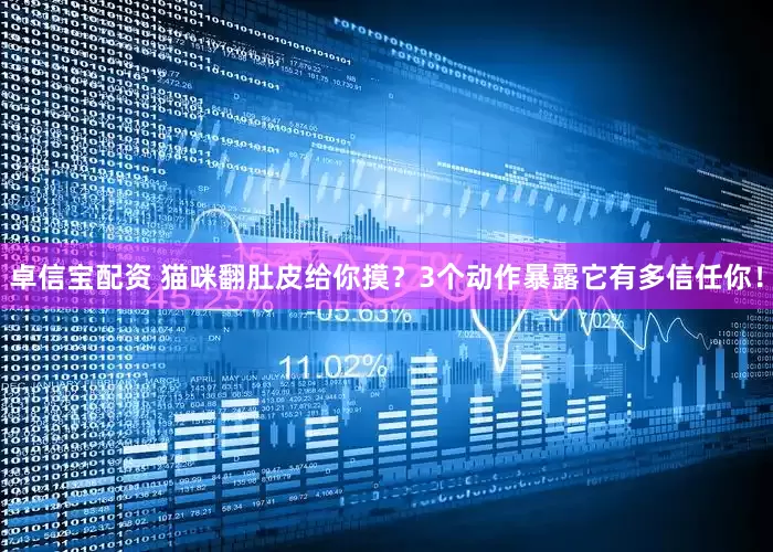 卓信宝配资 猫咪翻肚皮给你摸？3个动作暴露它有多信任你！