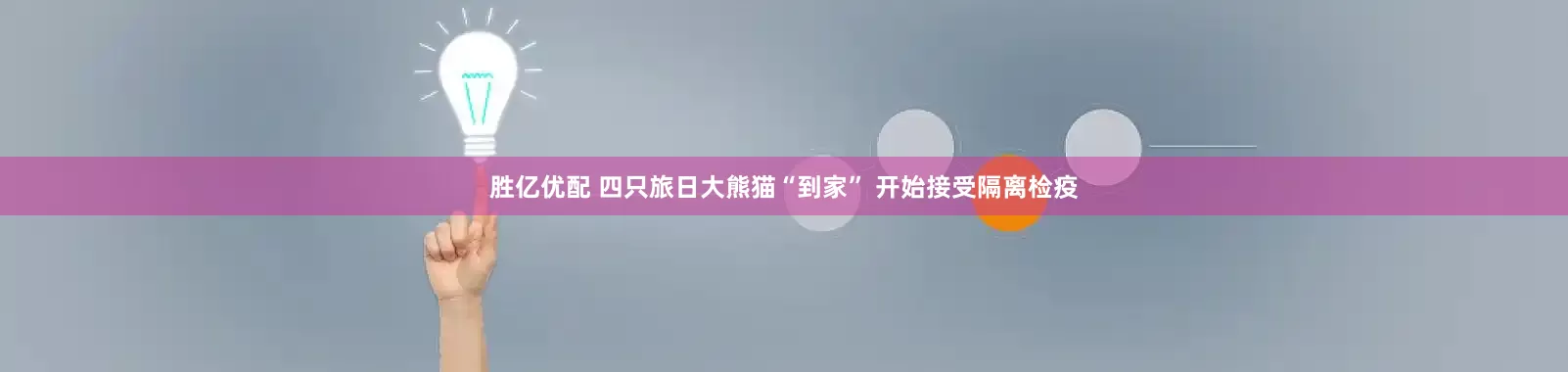 胜亿优配 四只旅日大熊猫“到家” 开始接受隔离检疫