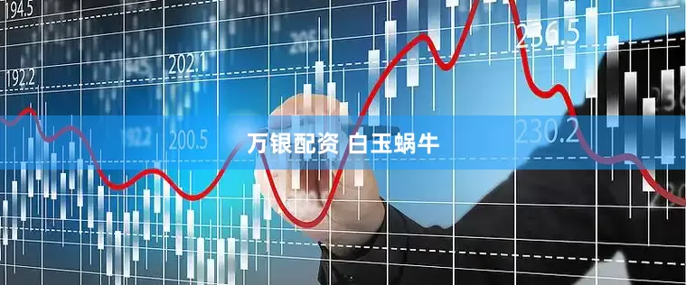 万银配资 白玉蜗牛